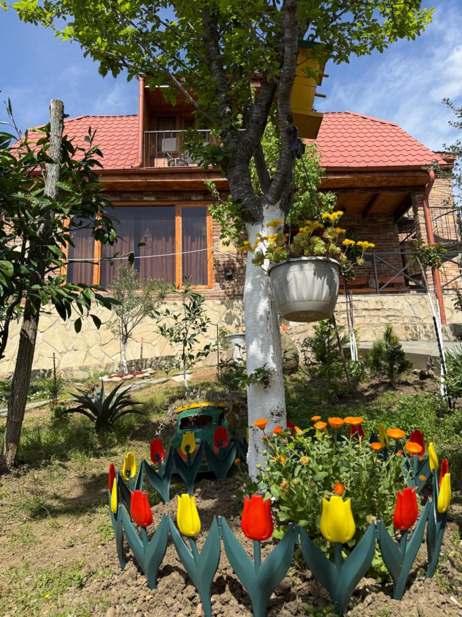 Sunshine House Villa Kutaisi Exterior photo